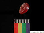 L_V20d4098 A16q11.3 R827 dM bd f3.JPG L_V20d4098 A16q11.3 R827 dM bd f3